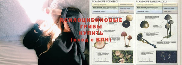 мяу мяу кристалл Алексеевка