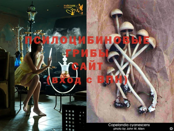 героин Алзамай