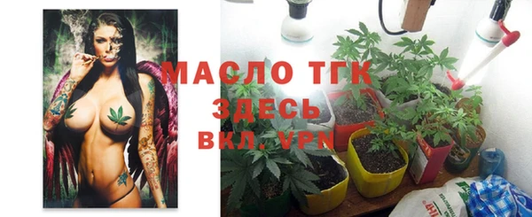 гидра Алексин